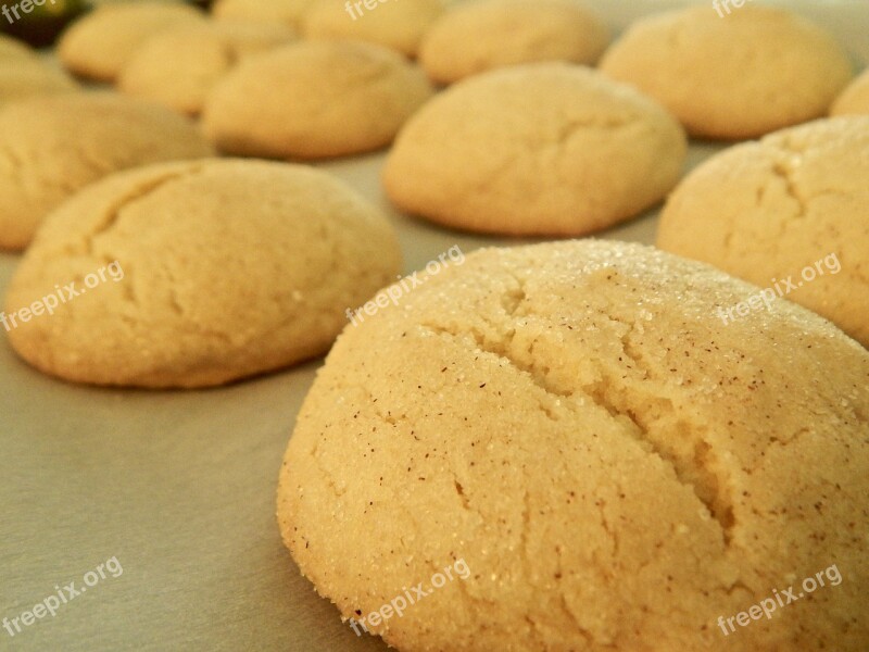 Cookies Snickerdoodle Golden Brown Delicious Dessert