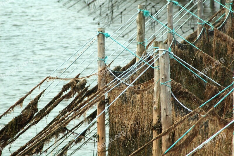 Fishing Net Water River Free Photos