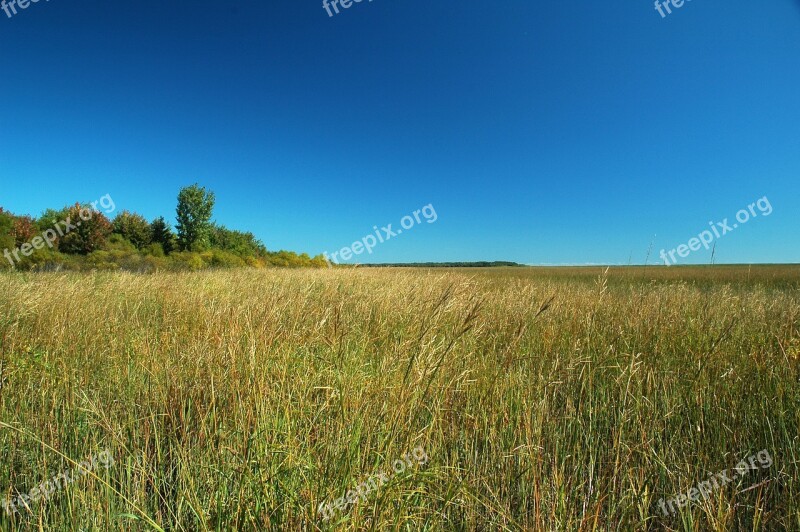 Sunny Day Blue Sky Sunny Blue Sky Clouds Free Photos