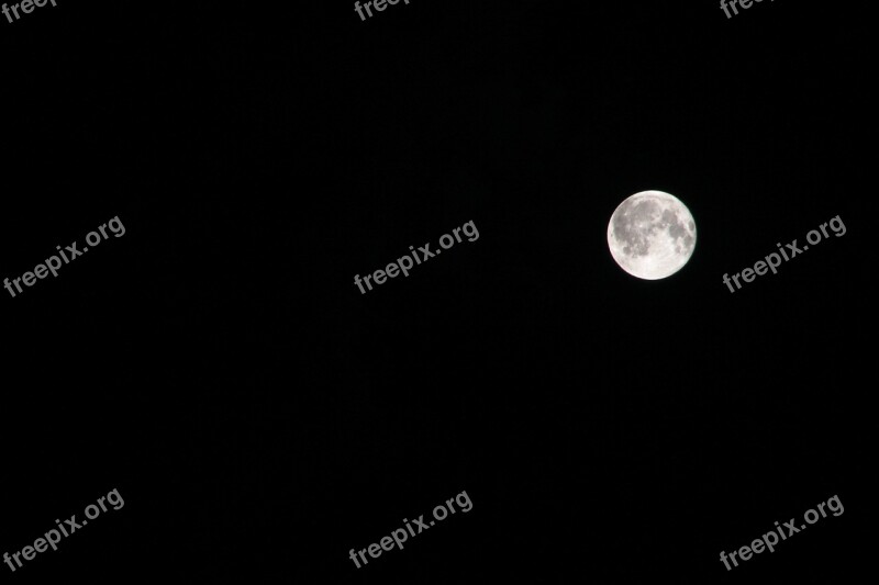 Full Moon Moon Night Close Up Astronomy