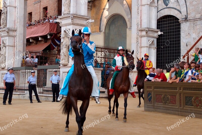 Races Horse Palio Sienna Jockey