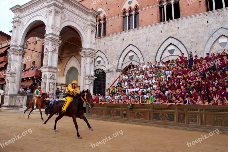 Races Horse Sienna Palio Jockey