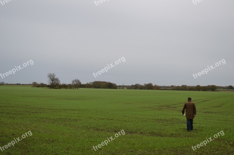 Field Landscape Rural Farm Agriculture