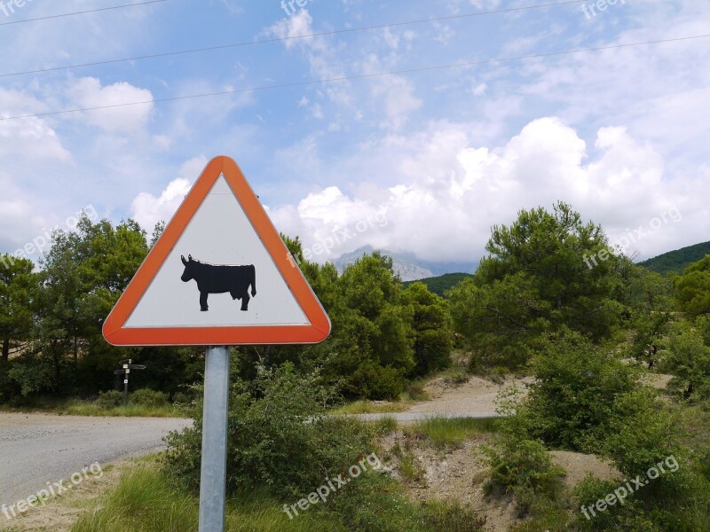 Spain Sign Bull Road Countryside