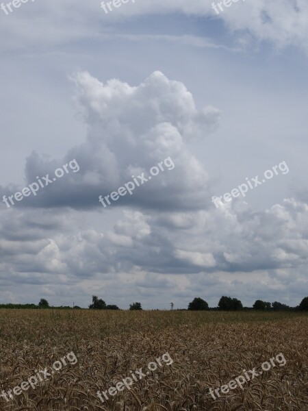 Field Clouds Clouds Mountains Sky Summer