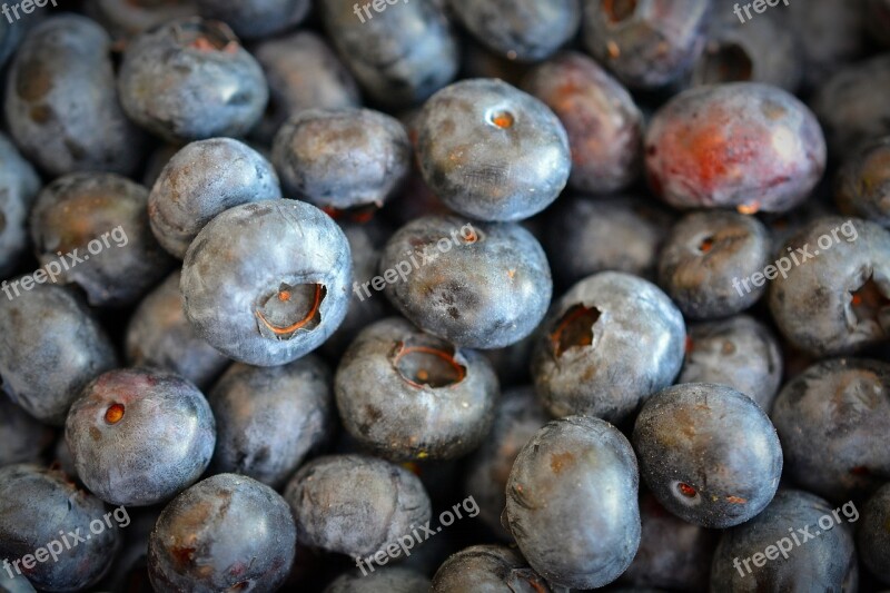 Blueberries Fruit Delicious Fruits Summer