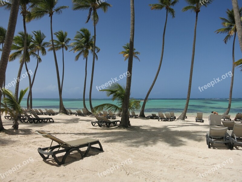 Beach Palm Trees Caribbean Dominican Republic Sea