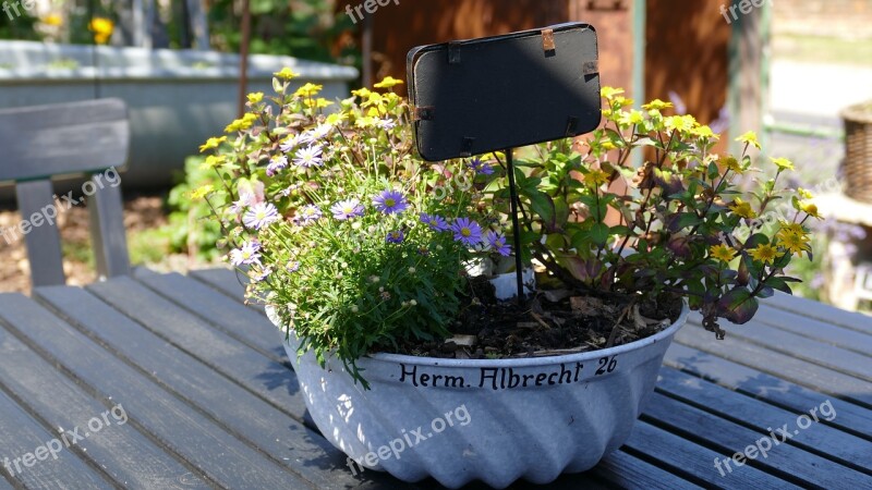 Flower Bowl Decoration Garden Floral Arrangement Shell