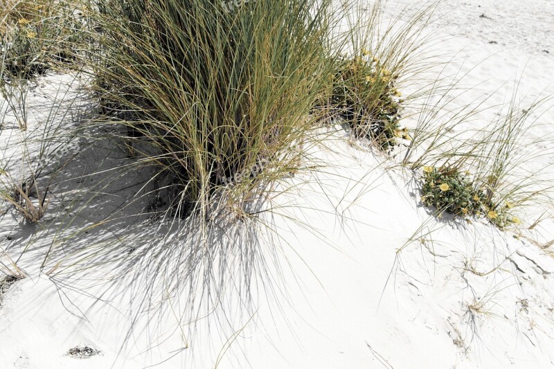 Beach Sand Sand Dunes Coastal Seascape