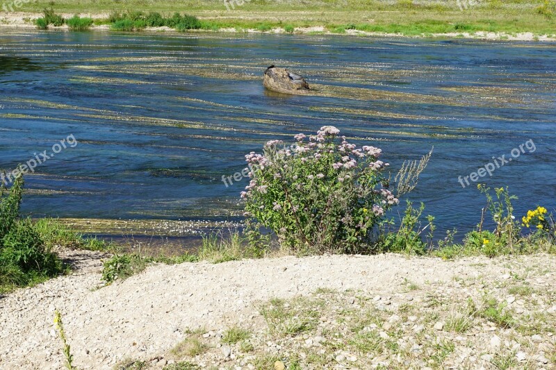 Danube River Water Riedlingen Spring