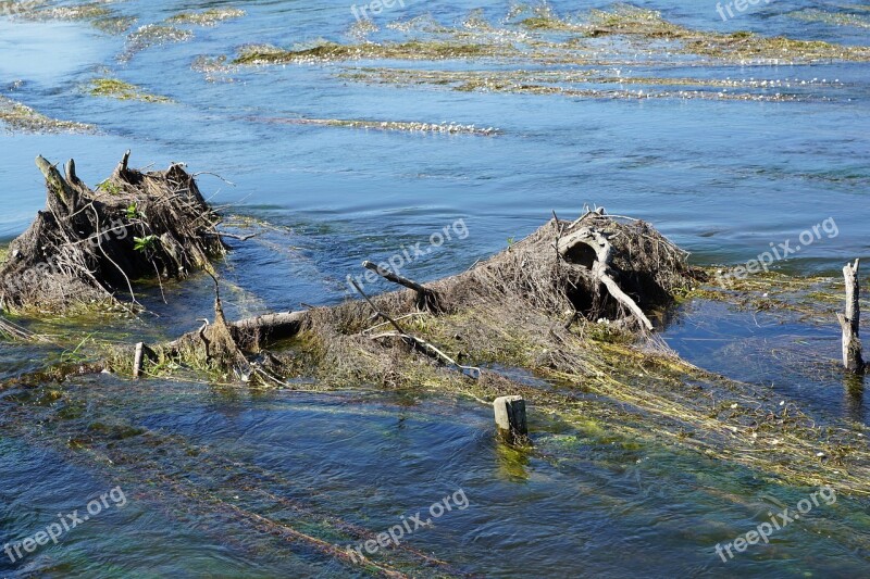 Danube River Water Riedlingen Flood