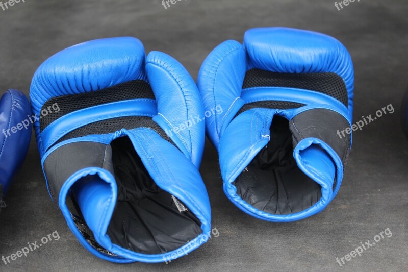 Box Boxing Gloves Boxing Sport Free Photos