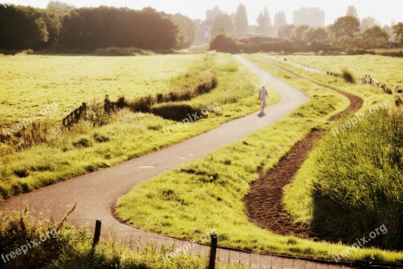 Holland Landscape Dutch Landscape Polder Meadow