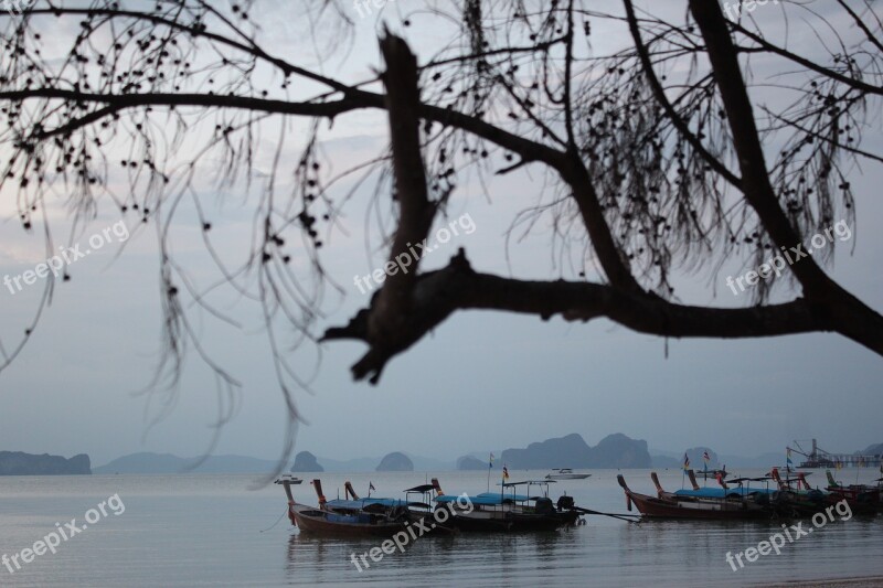 Boats Motif Tree Blue Hour Sea