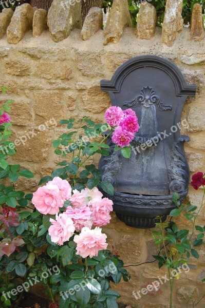 Rose Pink Flowers Fountain Wall Free Photos