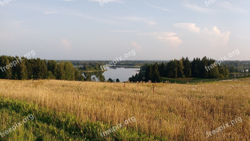 Lago Campo Floresta Jardim Natureza