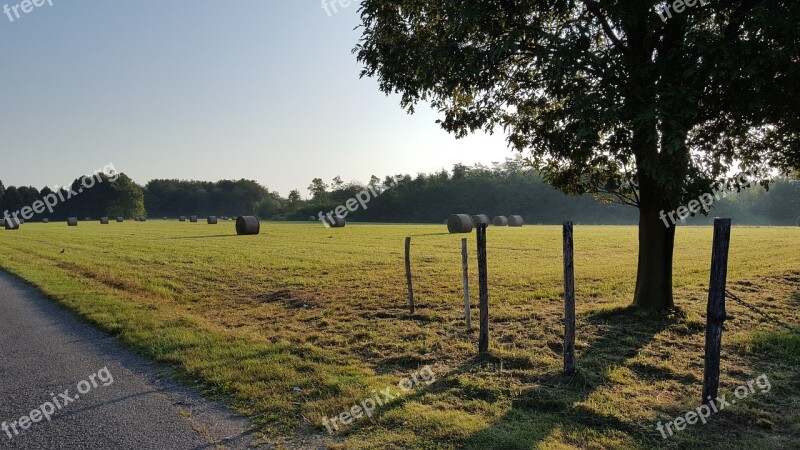 Landscape Campaign Fence Look Away Season