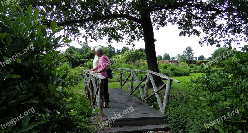 Wooden Bridge Web Nature Boardwalk Wooden Boards