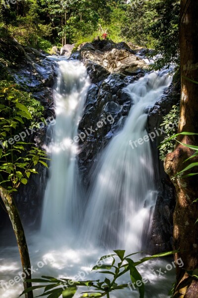 Waterfall Nature Forest Tropics Waterfalls