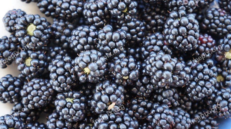 Blackberries Fruits Sweet Vitamins Delicious