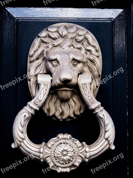 Door Knocker Lion Metal Old Entrance