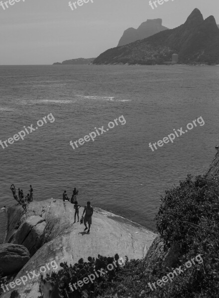 Sea Diving Rio De Janeiro Holiday Free Photos