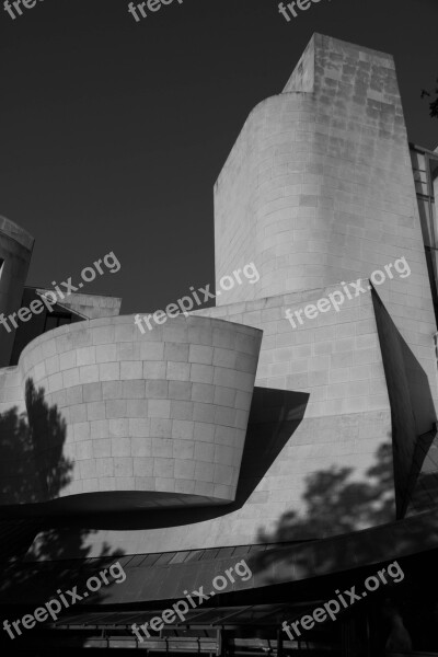 Gehry Cinema Paris Architecture Facade