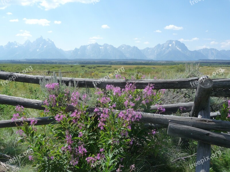 Usa Wyoming Grand Teton National Park Landscape Free Photos