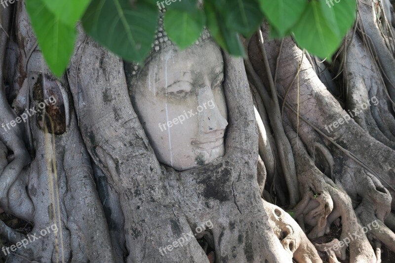 Ayutthaya Thailand Buddha Ruin Free Photos