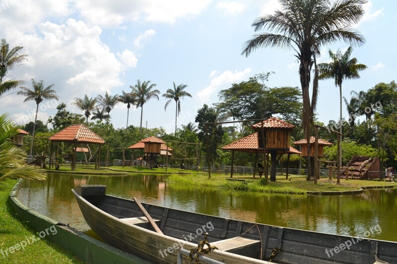 Landscape Canoe Water Palm Trees Boat