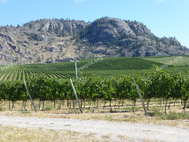 Wine Country Bc Canada Wine Country Okanagan Valley Canadian Countryside