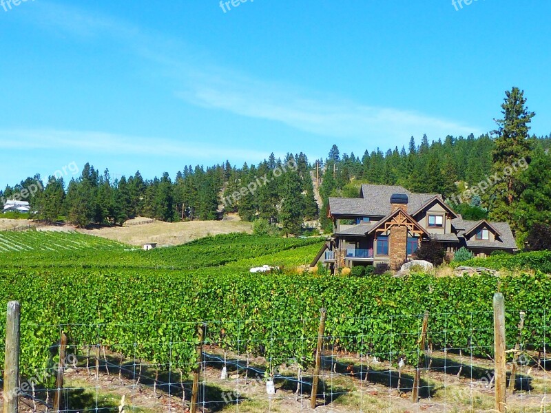 Wine Country Bc Canada Wine Country Okanagan Valley Canadian Countryside