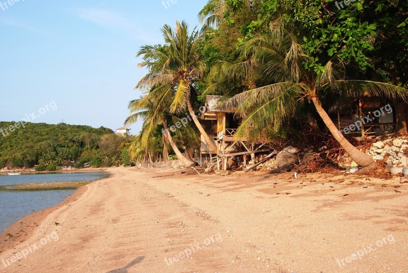 Beach Palm Trees Beach House Sand Sea