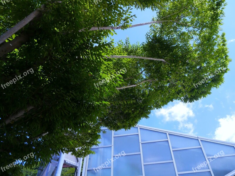 Sky Cloud Wind Building Glass