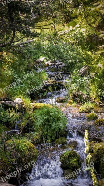 Cascade Water Creek Water Courses River