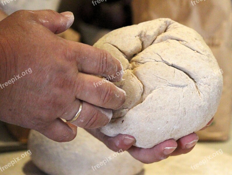 Dough Flour Hand Knead Baker