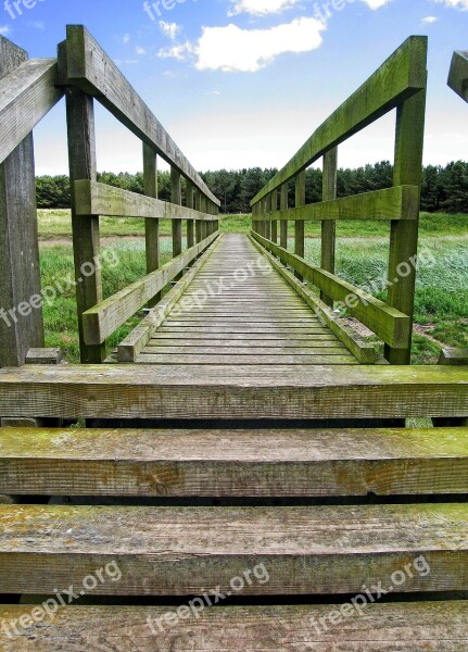 Bridge Wooden Wood Perspective Distance