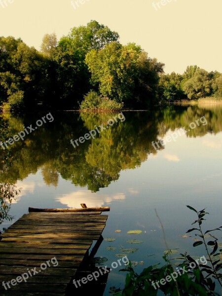 Web Pond Lake Water Waters