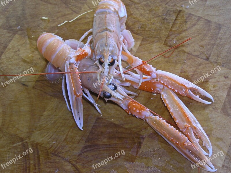 Norway Lobster Dining Seafood Delicacy Food