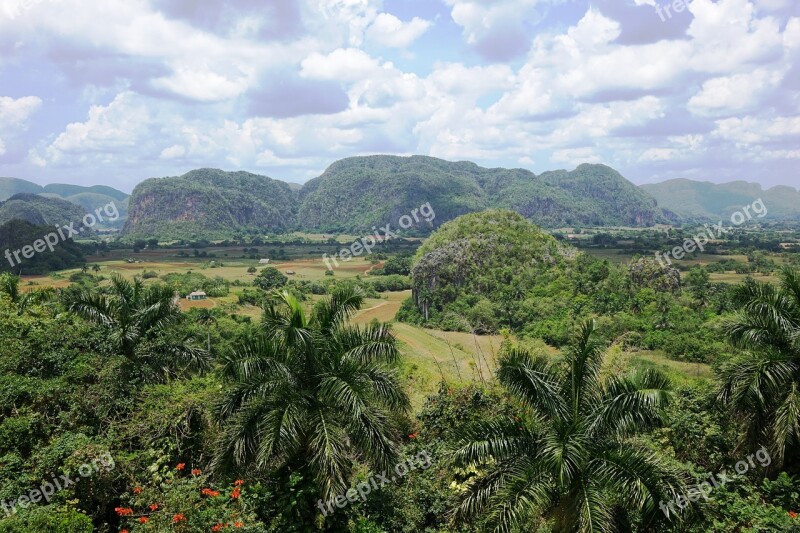 Cuba Landscape Trees Inselbergs Curiosities Clouds