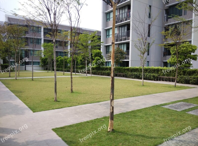 Green Space Outdoor Open Space Sunny Clear Skies