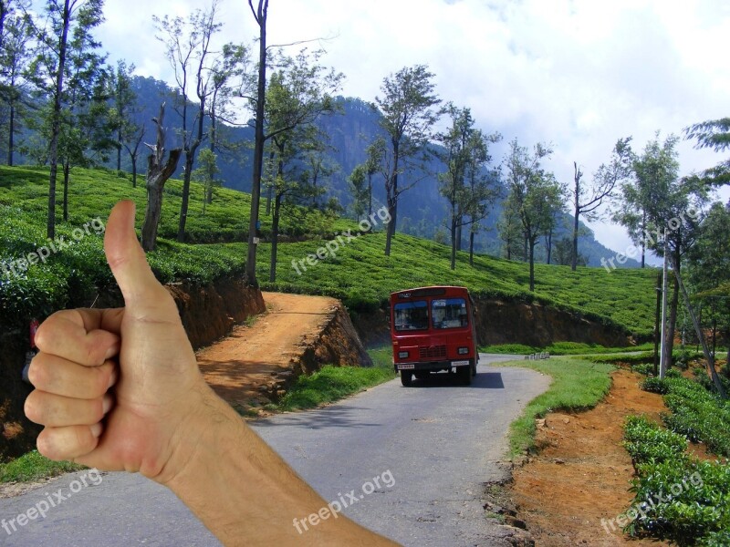 Hitchhiker Autostop Traveler Road Countryside