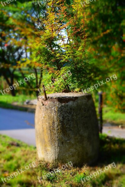 Stone Concrete Grass Block Free Photos