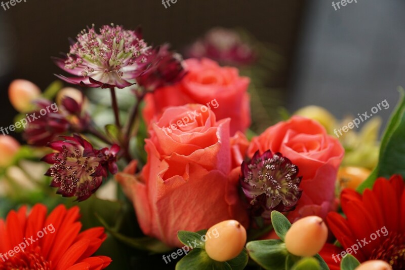 Flowers Strauss Green Roses White Flower