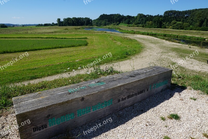 Danube Away Wood Meadow Riedlingen