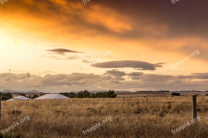 Agriculture Farm Farming Paddock Wheat