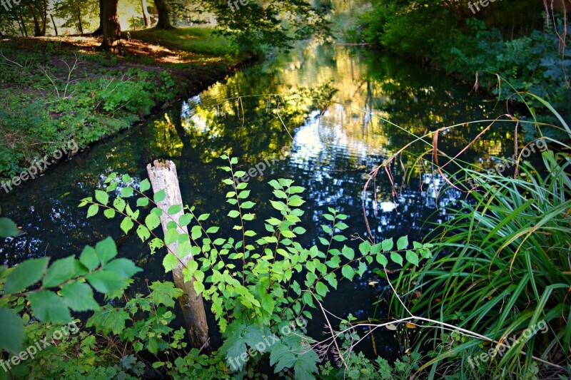 Landscape Waterway Moat Foliage Scenic