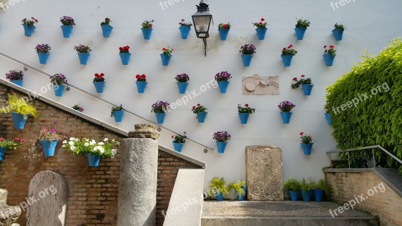 El Zoco Courtyard Flowers Artisan Cordoba