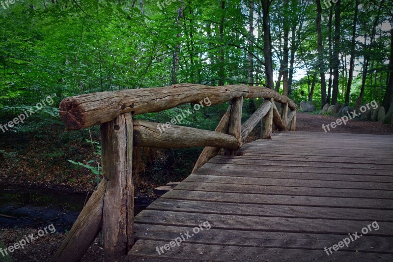 Bridge Railing Forest Forest Path Wood