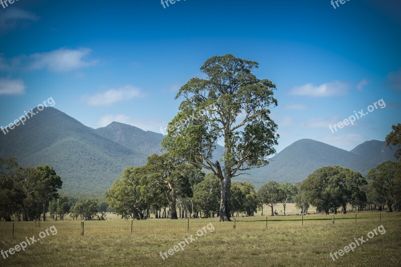 Mountains Mountain Range Grampians Victoria Australia